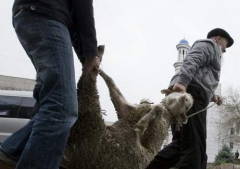 В Алматы определены места забоя скота на Курбан айт